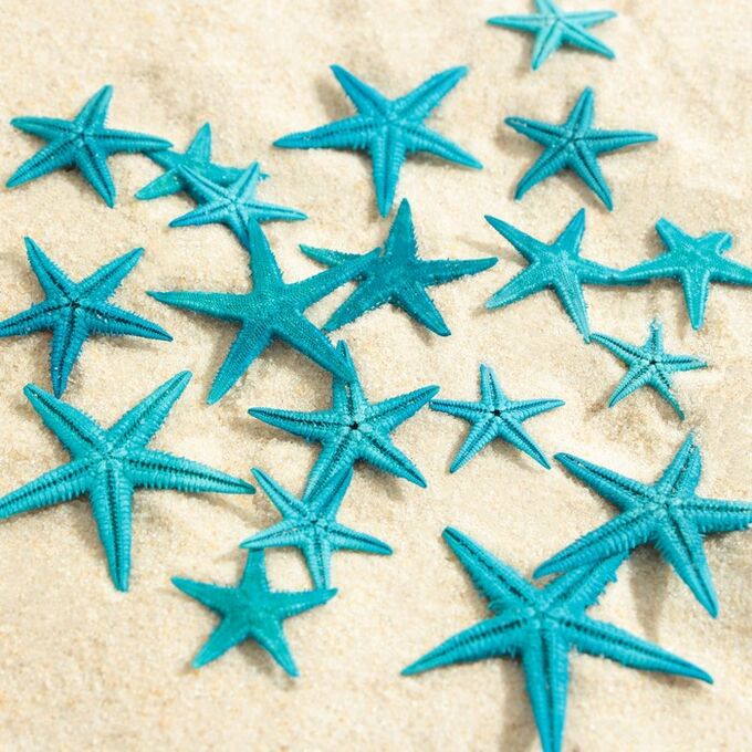 Пижон Аква Набор натуральных морских звезд, 1,5 - 2,5 см, 20 шт, синий