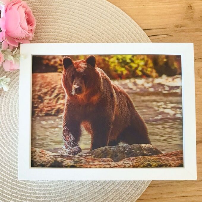3Д картинка &quot;Бурый медведь&quot; 14,5 х 19,5 см х М-0011, голографическая открытка с изображением медведя, без рамки