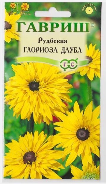 Рудбекия Хирта Глориоза Дэйзи