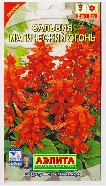Аэлита Сальвия Магический огонь (Код: 66686)