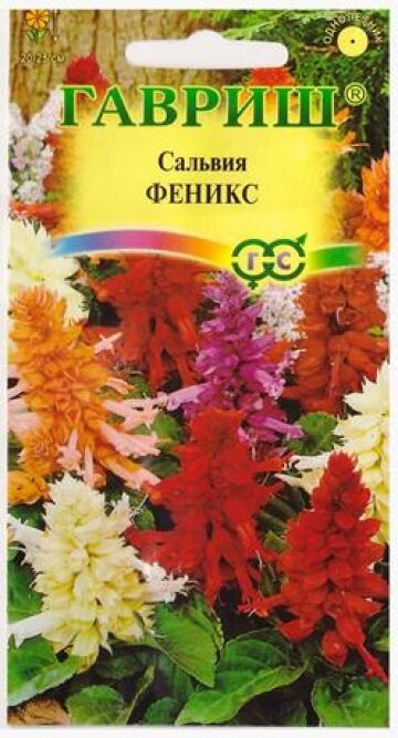 Гавриш Сальвия Феникс (Код: 14536)