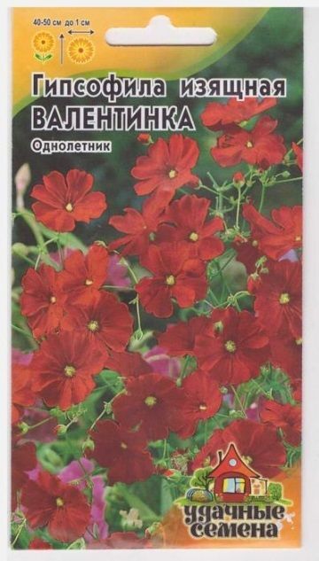 Гавриш Гипсофила изящная Валентинка (Код: 15663)