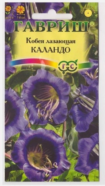 Гавриш Кобея Лазающая Каландо (Код: 9796)
