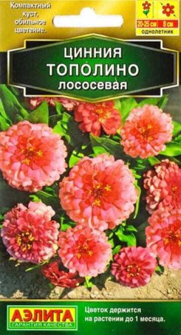Аэлита Цинния Тополино Лососевая (Код: 85545)