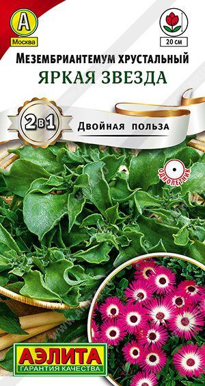 Аэлита Мезембриантемум Яркая звезда (Код: 89540)