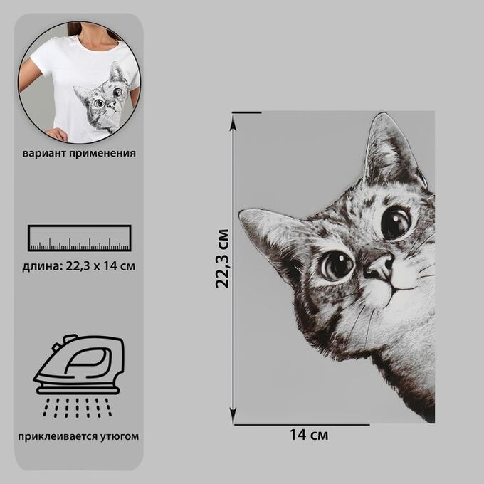 СИМА-ЛЕНД Термотрансфер «Любопытный кот», 14 ? 22,3 см