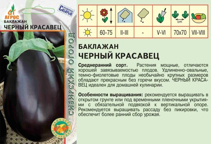 Баклажан черный красавец фото отзывы характеристика Баклажан"Черный красавец"0.13г*, Индия, сред Семена Сибири. Семена овощей