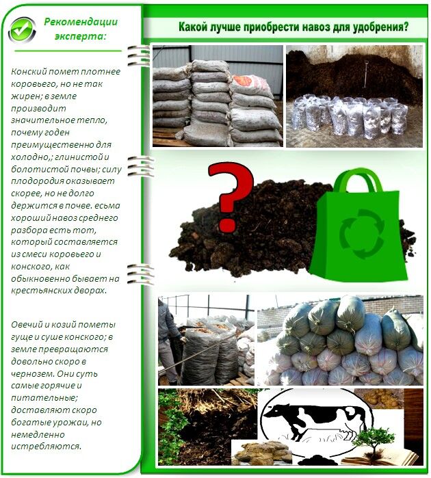 Разновидности минеральных удобрений. Какой навоз лучше. Подстилочный навоз. Какой навоз самый лучший для огорода. Тележка для навоза.