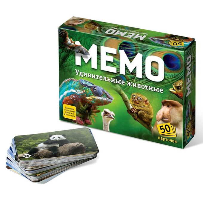 Настольная игра «Мемо. Удивительные животные», 50 карточек + познавательная брошюра