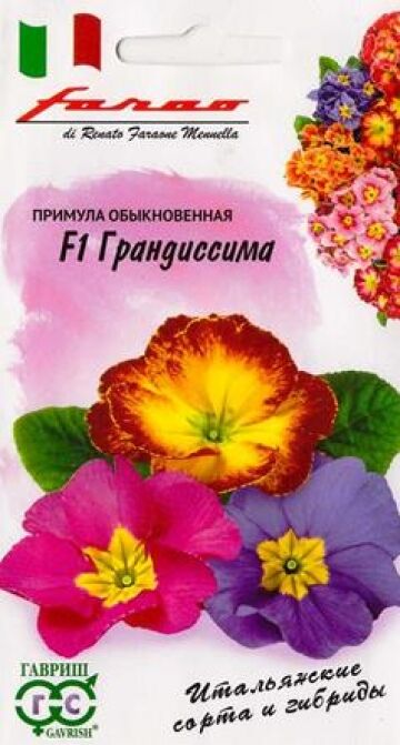 Гавриш Примула Грандиссима F1 (Код: 84694)