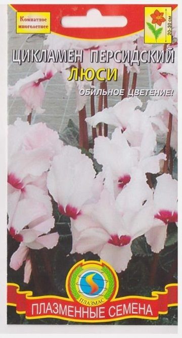Опытный дачник Цикламен Люси  (Код: 76156)