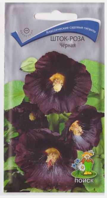Поиск Шток-роза Черная (Код: 5379)