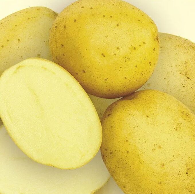 Желтые цветы картошка