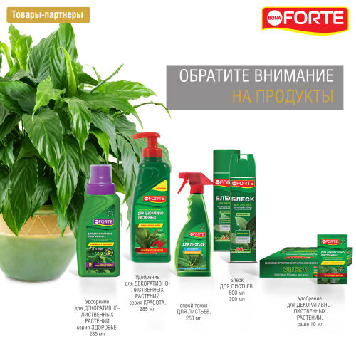 Bona Forte Жидкое минеральное удобрение для лиственных растений, 285 мл./20/ BF21010261