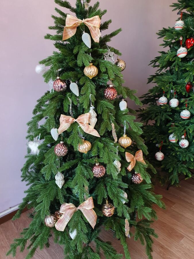 ROYAL CHRISTMAS Ель SPITSBERGEN 210 см