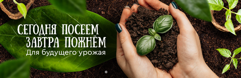 Совместные покупки в Артеме