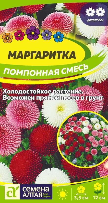 Семена Алтая Цветы Маргаритка Помпонная смесь/Сем Алт/цп 0,05 гр.