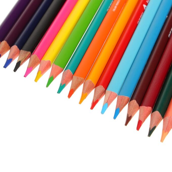 купили 18 карандашей. трехгранные цветные карандаши 18 цветов в школьный пенал. лак в виде карандаша. пластиковые карандаши 18 цветов. купили 18 карандашей.