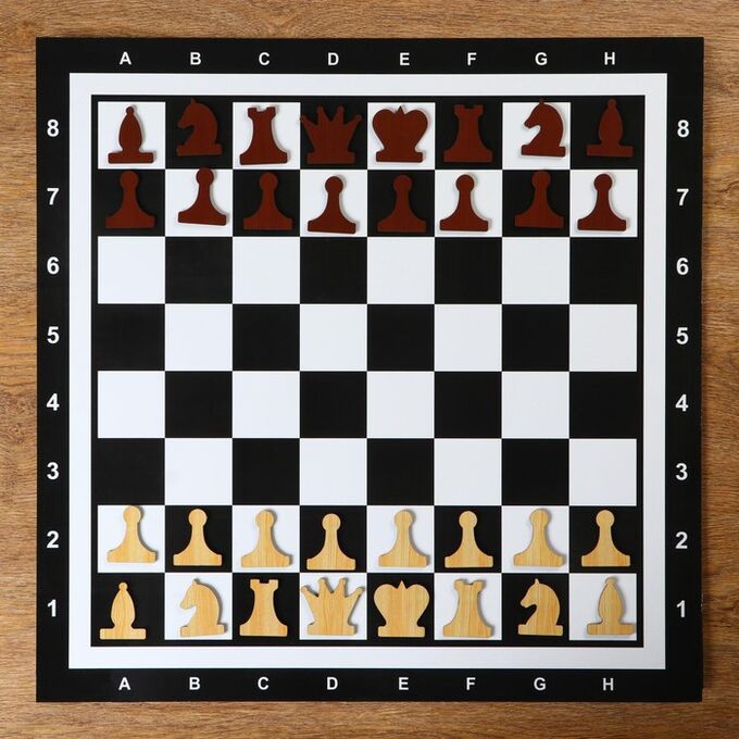 Демонстрационные шахматы &quot;Время игры&quot; на магнитной доске, 32 шт, поле 60 х 60 см