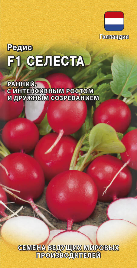 Редис Селеста F1 среднеранний, круглый, красный (Голландия) 0,5гр Гавриш/ЦВ