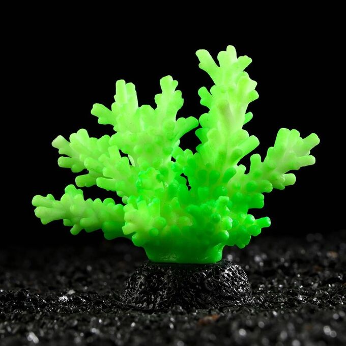 Декоративный коралл &quot;Акропора&quot; силиконовый, светящийся, 7,5 х 9 см, зелёный 7108846