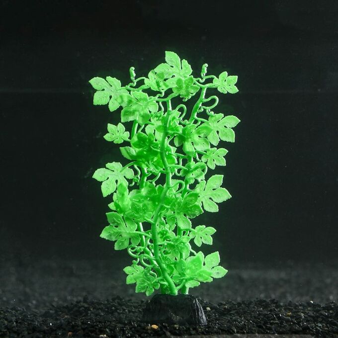 Растение силиконовое аквариумное, светящееся в темноте, 6,5 х 18 см, зелёное 7108788