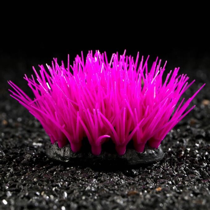 Растение силиконовое аквариумное, светящееся в темноте, фиолетовое, 16 х 11 см 7108791