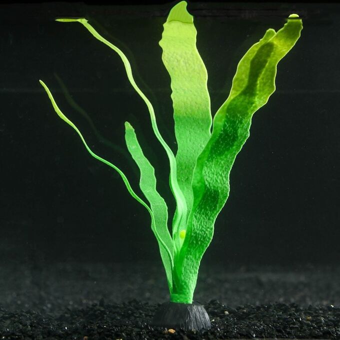Растение силиконовое аквариумное, светящееся в темноте, 14 х 24 см, зелёное 7108807