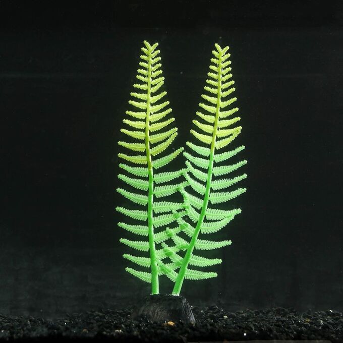 Растение силиконовое аквариумное, светящееся в темноте, 8 х 23 см, зелёное 7108795
