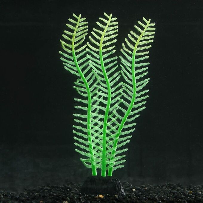 Растение силиконовое аквариумное, светящееся в темноте, 4,5 х 15 см, зелёное 7108769