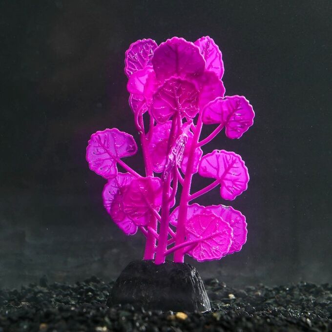 СИМА-ЛЕНД Растение силиконовое аквариумное, светящееся в темноте, 7 х 11 см, фиолетовое