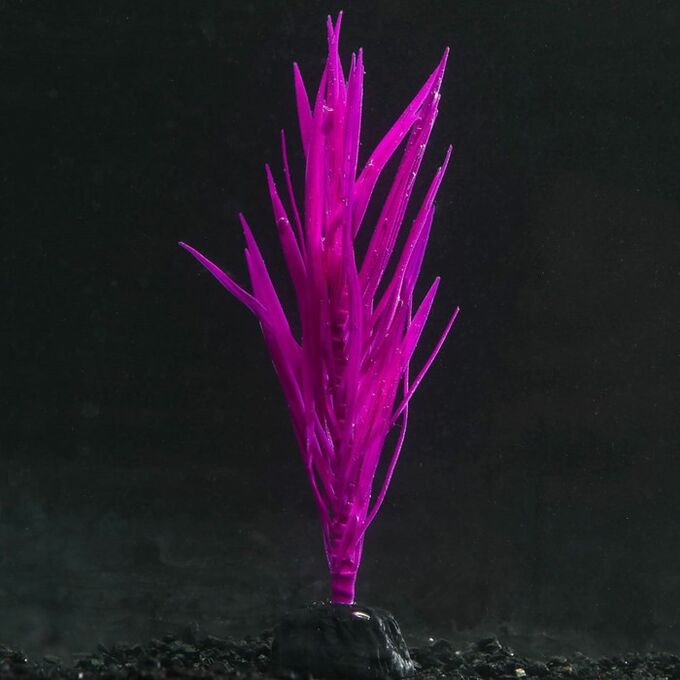 Растение силиконовое аквариумное, светящееся в темноте, 7 х 12,5 см, фиолетовое 7108758