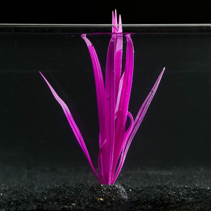 Растение силиконовое аквариумное, светящееся в темноте, 8 х 22 см, фиолетовое 7108798