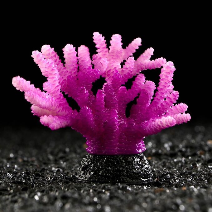 Декоративный коралл &quot;Акропора&quot; силиконовый, светящийся, 7,5 х 9 см, фиолетовый 7108843