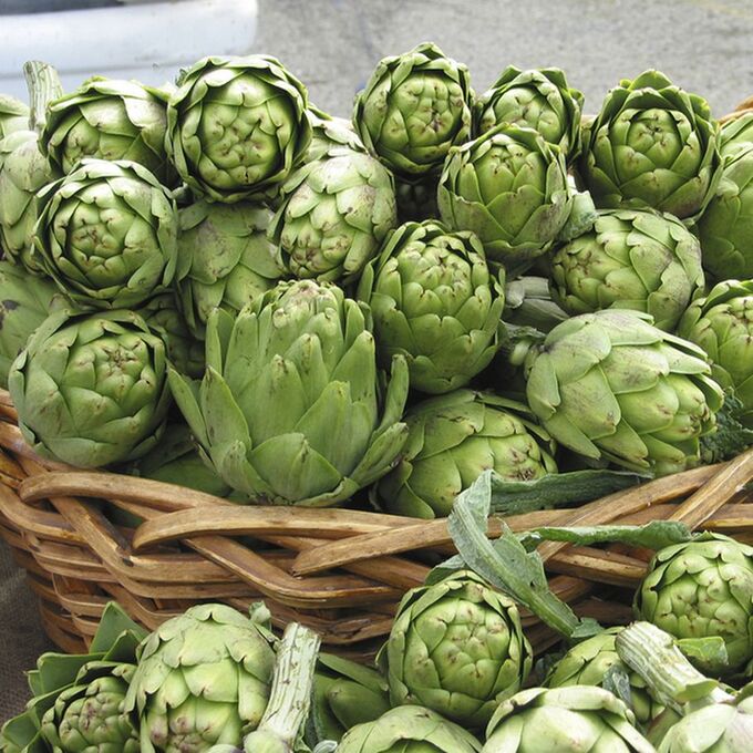 Капуста похожая на артишок. Артишоки веллингтон. Артишок куст. Артишок огурец. Артишок цветение.