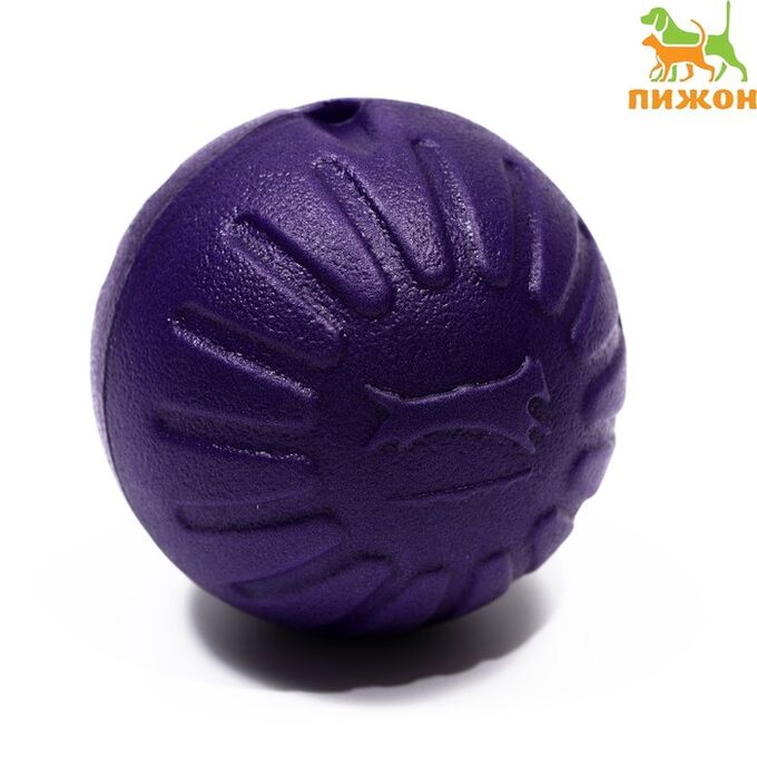 Пижон Мяч из EVA плавающий, для дрессировки, 7 см, фиолетовый