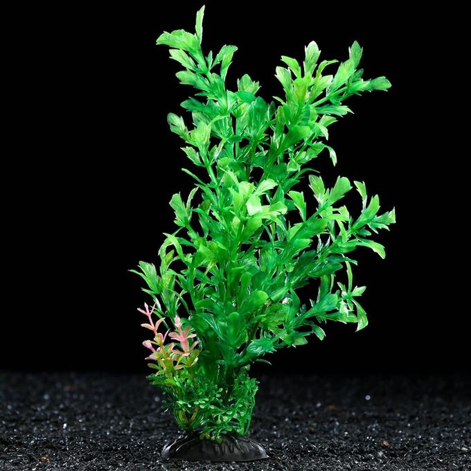 Аква зеленая. Растение искусственное аквариумное, 6 х 24 см, зелёное, 1 шт.. Зеленое растение в горшке. Растение искусственное аквариумное, до 20 см. Растение искусственное аквариумное, 4 х 20 см, фиолетовое.
