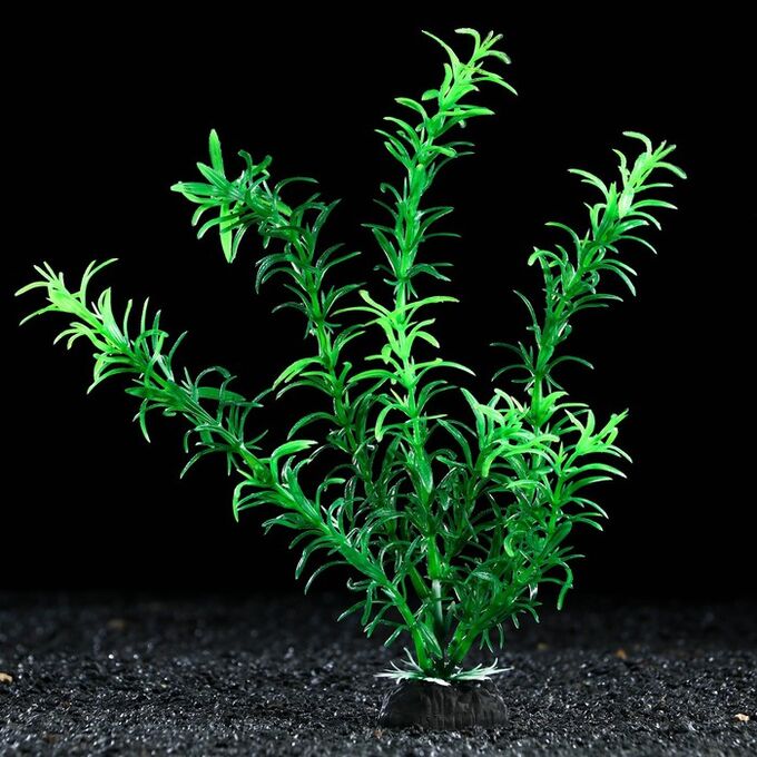 Пижон Аква Растение искусственное аквариумное, 4 х 20 см, зеленое, 1 шт.