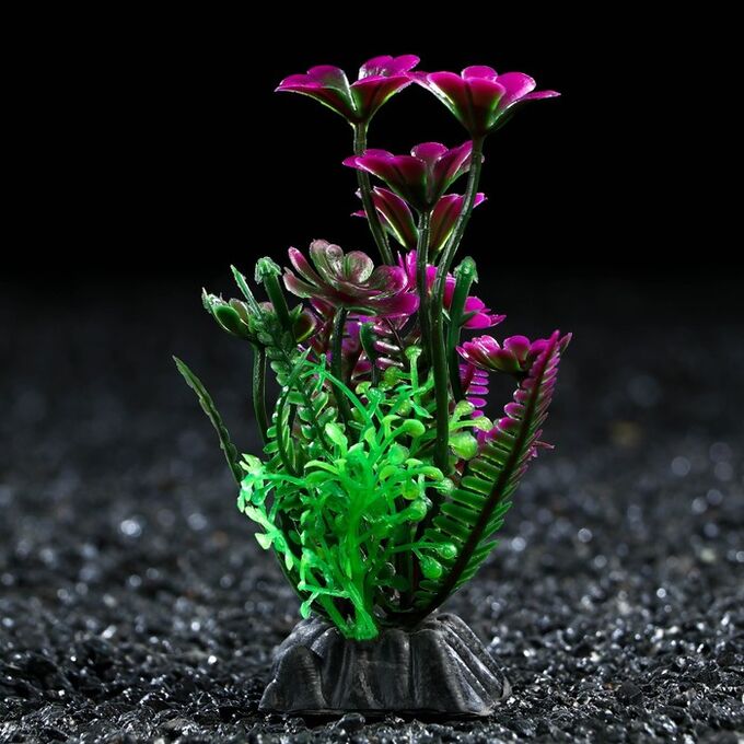 Пижон Растение искусственное аквариумное, 3 х 9 см, фиолетово-зелёное