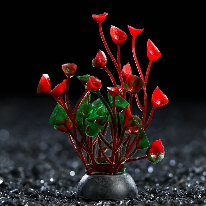 Пижон Аква Растение искусственное аквариумное, 5 см, красное, 1 шт.