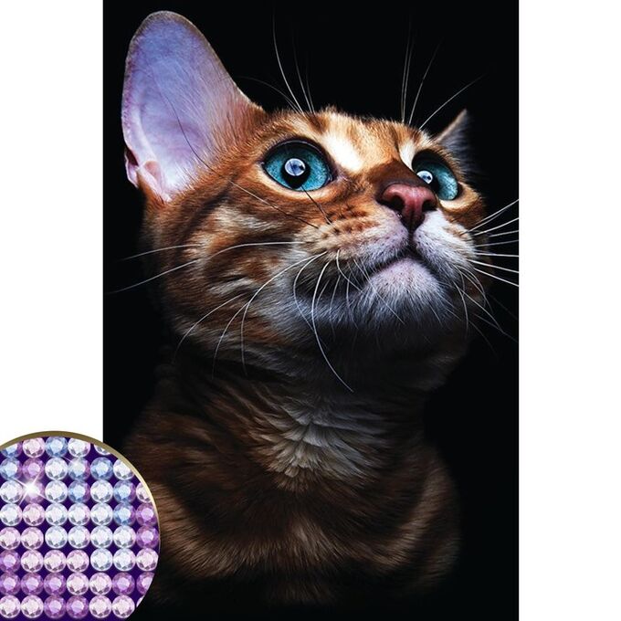 Школа талантов Алмазная мозаика с частичным заполнением «Взгляд кошки» 20х30 см, на холсте