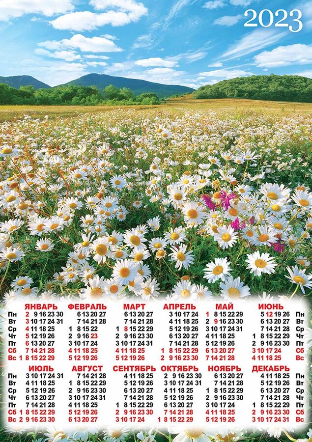Листовой календарь на 2023 год А2 &quot;Полевые цветы&quot;