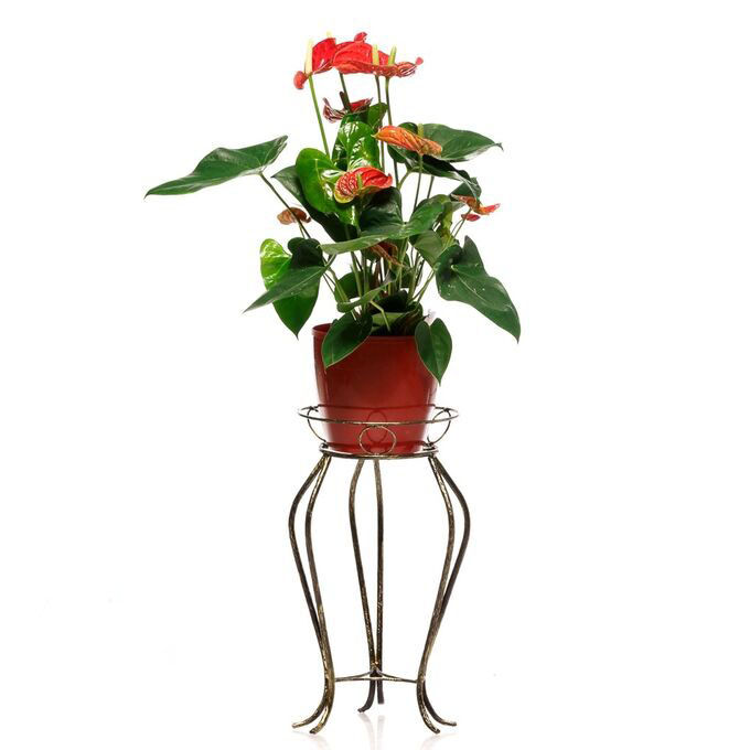 оконная цветочница. поздравительные статуэтки. подставка 14-901 фабрика интерьерной ковки. цветочница под окно. художественная ковка настенные фонари.