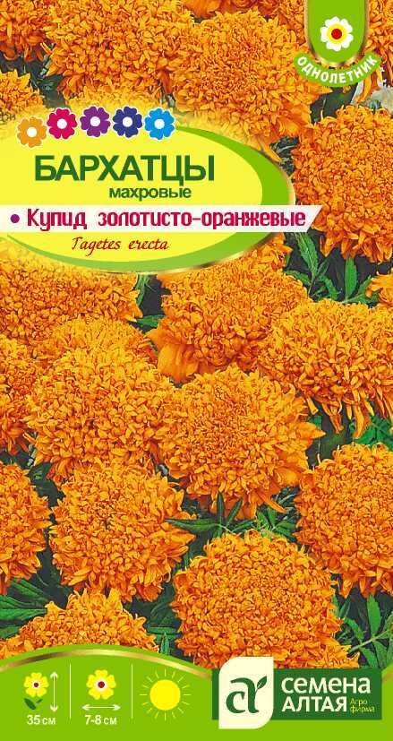 Семена Алтая Бархатцы Купид Золотисто-Оранжевые махровые, до 35см, однол 0,3гр СА/ЦВ