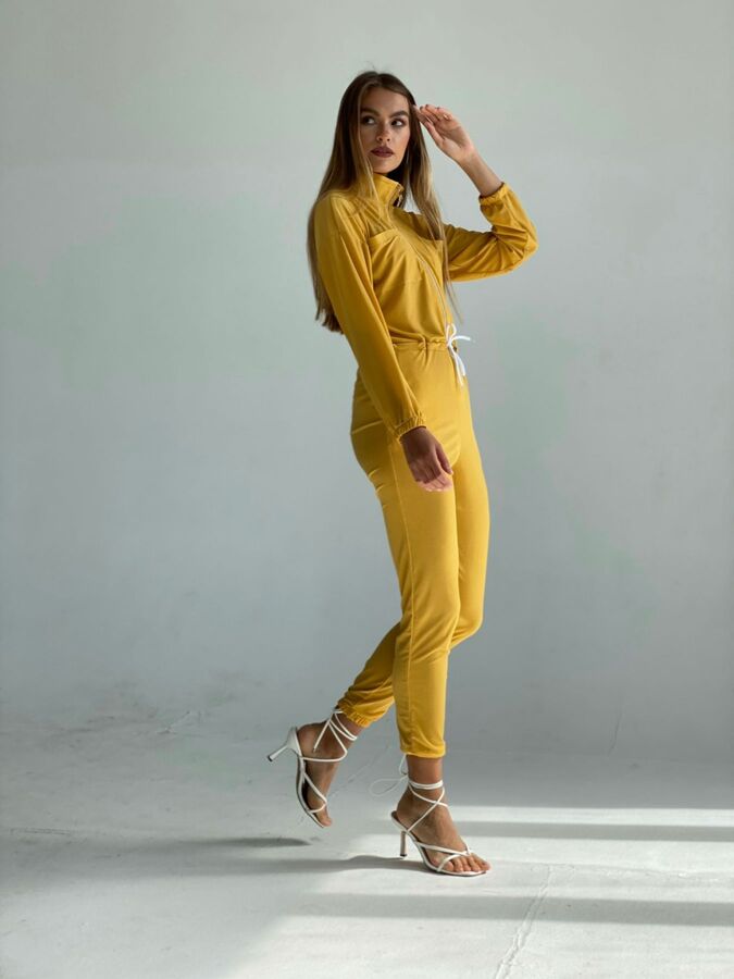 Primrose Yellow С†РІРµС‚