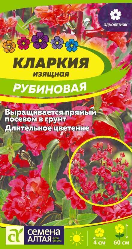 Семена Алтая Цветы Кларкия Рубиновая изящная/Сем Алт/цп 0,2 гр.