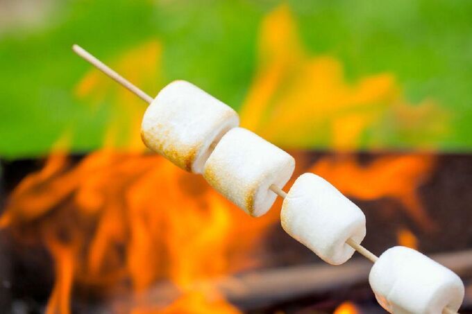 пристрой Зефир Биг BBQ, для жарки, пакет 200 г.