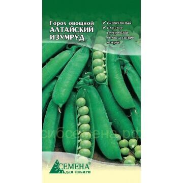 Семена для Сибири Горох Алтайский изумруд, 6г (цв.)