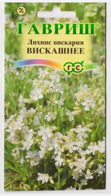 Вискария глазковая Румба