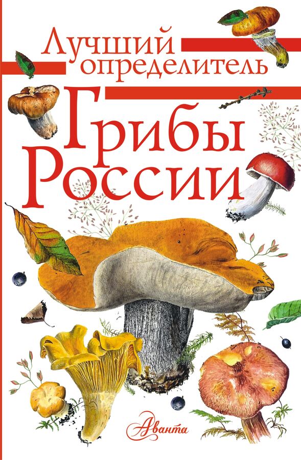 Издательство АСТ Кривошеев С.В. Грибы России. Определитель